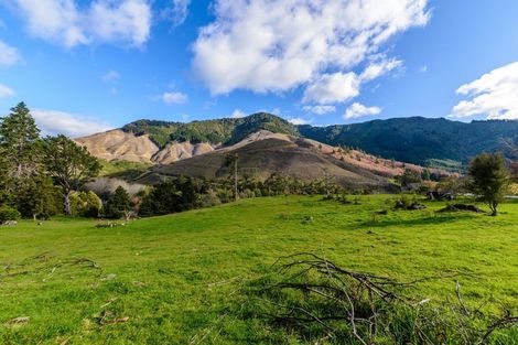 Photo of property in 233 Wakamarina Road, Canvastown, Havelock, 7178