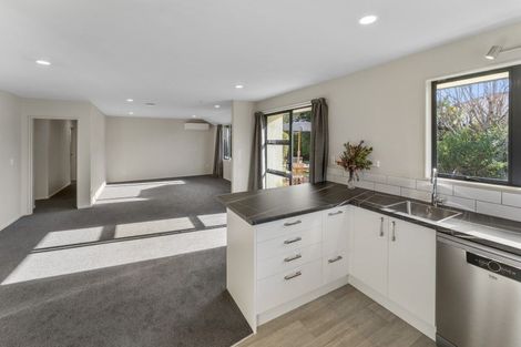 Photo of property in 16 Appaloosa Avenue, Richmond, 7020