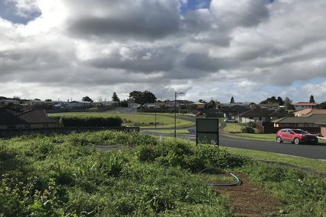 Photo of property in 43 Balmacewan Drive, Te Kamo, Whangarei, 0112