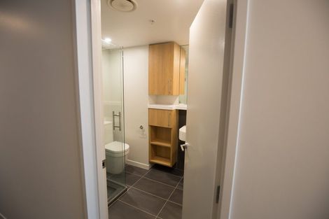 Photo of property in Vsp South, 806/168 Victoria Street, Te Aro, Wellington, 6011