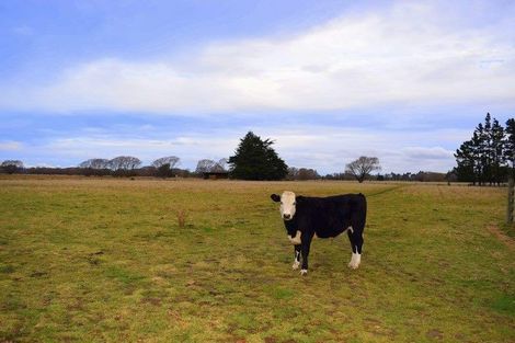 Photo of property in 227 Factory Road, Sefton, 7477