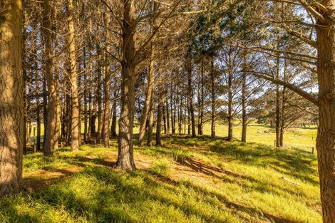 Photo of property in 9 Ripa Street, Tangimoana, 4822