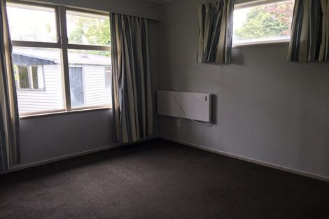 Photo of property in 49 Fitzroy Avenue, Fitzroy, Hamilton, 3206