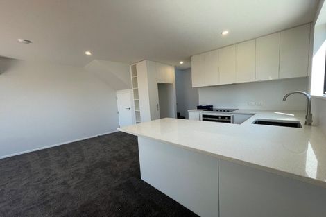 Photo of property in 86e Olliviers Road, Phillipstown, Christchurch, 8011