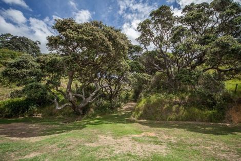 Photo of property in 354 Rockell Road, Whananaki, Hikurangi, 0181