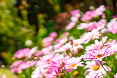 Photo of property in 122 Colville Road, Dargaville, 0377