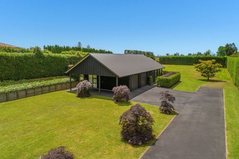 Photo of property in 20 Plane Tree Lane, Tauriko, Tauranga, 3110