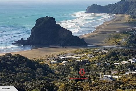 Photo of property in 54 Beach Valley Road, Piha, New Lynn, 0772