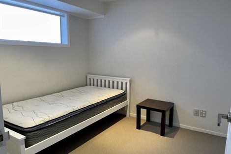 Photo of property in Soho Apartments, 212/74 Taranaki Street, Te Aro, Wellington, 6011