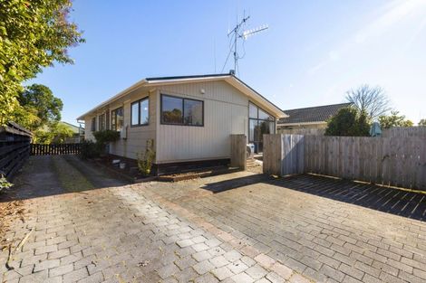 Photo of property in 4 Pearl Place, Chartwell, Hamilton, 3210