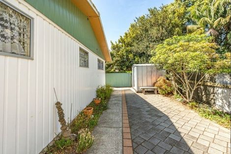 Photo of property in 255 Wicksteed Street, Whanganui, 4500