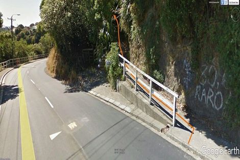 Photo of property in 78 Raroa Road, Kelburn, Wellington, 6012