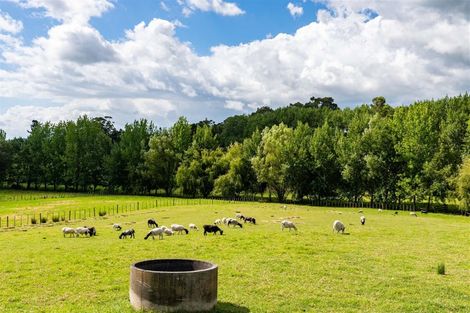 Photo of property in 438b Oruawharo Road, Oruawharo, Wellsford, 0975