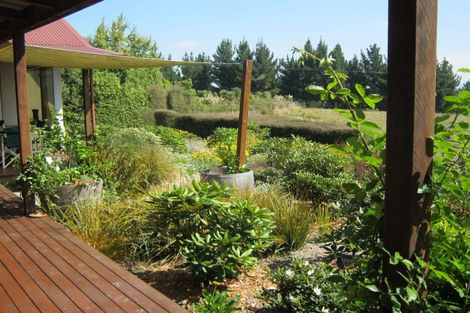 Photo of property in 151 Downs Road, Geraldine Downs, Geraldine, 7991