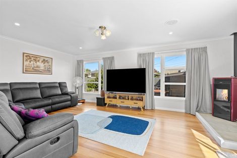 Photo of property in 8 Dunbeath Street, Blenheim, 7201
