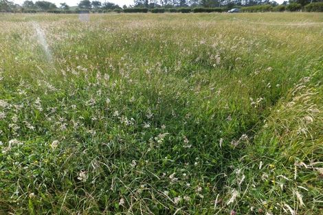 Photo of property in 89 Lepper Road, Inglewood, 4386