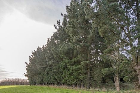 Photo of property in 10 Jelfs Road, Woodend Beach, Woodend, 7691