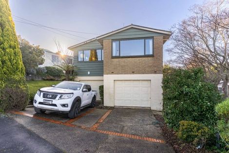 Photo of property in 135 Balmacewen Road, Wakari, Dunedin, 9010