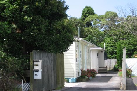 Photo of property in 157 Rosebank Road, Avondale, Auckland, 1026