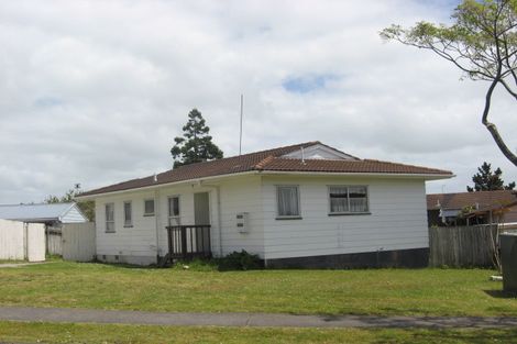 Photo of property in 119 Finlayson Avenue, Clendon Park, Auckland, 2103