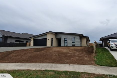 Photo of property in 39 Barry Curtis Place, Levin, 5510
