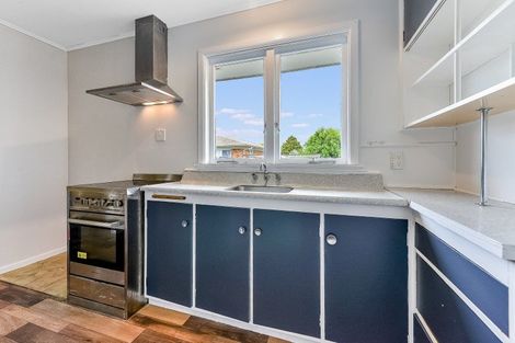 Photo of property in 53 Sheridan Street, Silverdale, Hamilton, 3216