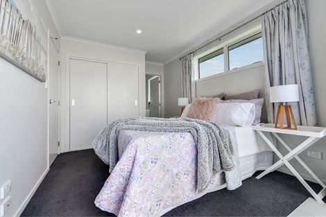 Photo of property in 29 Benjamin Avenue, Rototuna North, Hamilton, 3210