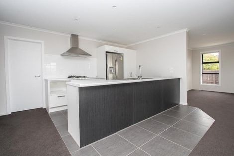 Photo of property in 41 Ladeira Place, Fitzroy, Hamilton, 3206