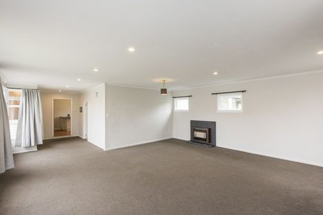 Photo of property in 47 Knowles Street, Terrace End, Palmerston North, 4410
