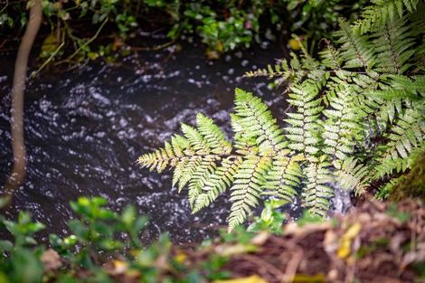 Photo of property in 301 Ohaupo Road, Glenview, Hamilton, 3206