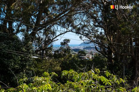 Photo of property in 49 Every Street, Andersons Bay, Dunedin, 9013