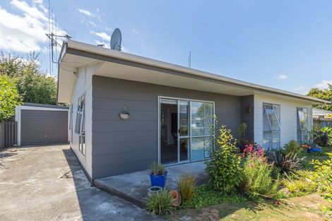 Photo of property in 645 Queen Street East, Levin, 5510