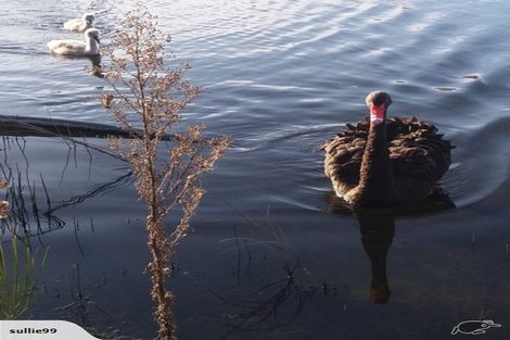 Photo of property in 5/548 Williams Street, Kaiapoi, 7691