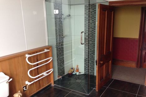 Photo of property in 133 Limbrick Street, Terrace End, Palmerston North, 4410