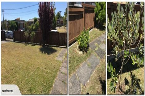 Photo of property in 56 Wake Street, Chartwell, Hamilton, 3210