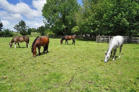 Photo of property in 10 Oakshott Road, Ngahinapouri, Te Awamutu, 3876