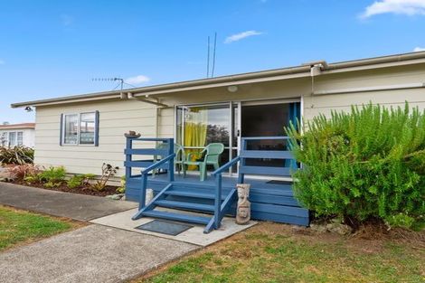 Photo of property in 10a Braemar Street, Levin, 5510