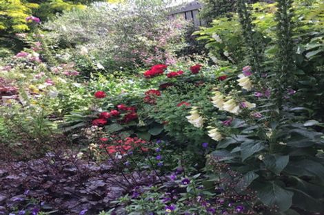 Photo of property in 61 Shields Street, Clyde, 9330