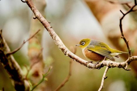 Photo of property in 34 Ngahere Street, Stokes Valley, Lower Hutt, 5019