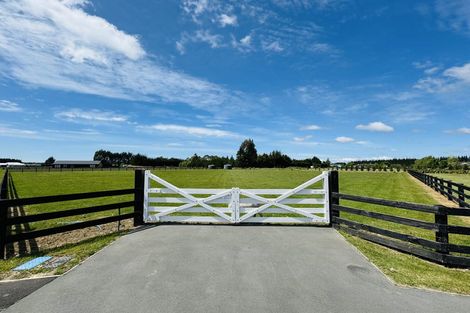 Photo of property in 17 Beal Place, Swannanoa, 7692