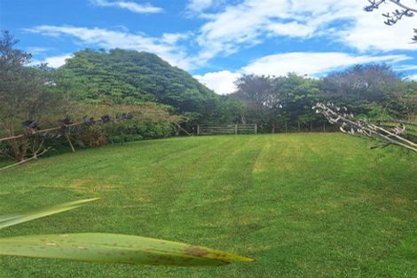 Photo of property in 1138 Woodcocks Road, Kaipara Flats, Warkworth, 0981