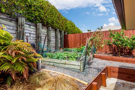 Photo of property in 6e Clifton Lane, Snells Beach, 0920