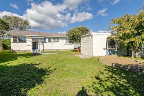 Photo of property in 64 Hinemoa Street, Levin, 5510