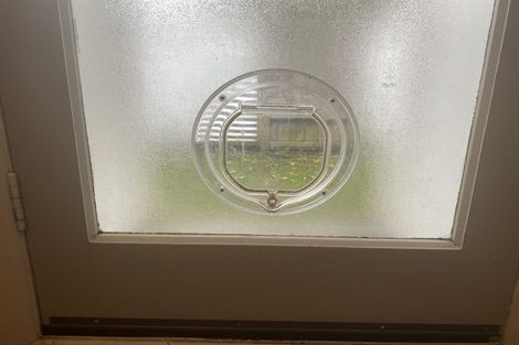 Photo of property in 24 Marshall Street, Fairfield, Hamilton, 3214