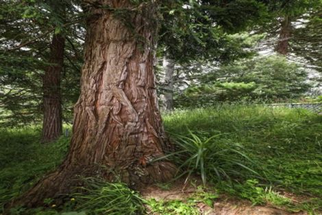 Photo of property in 114a Plantation Road, Rangiriri, Te Kauwhata, 3782