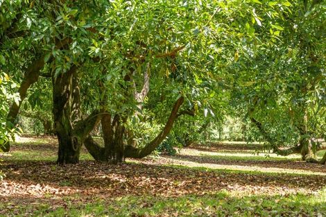 Photo of property in 429 Omanawa Road, Omanawa, Tauranga, 3171