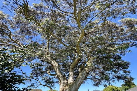 Photo of property in 409a High Street South, Carterton, 5713