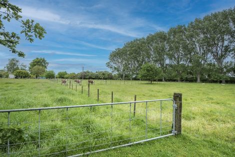 Photo of property in 401 Telephone Road, Puketaha, Hamilton, 3281