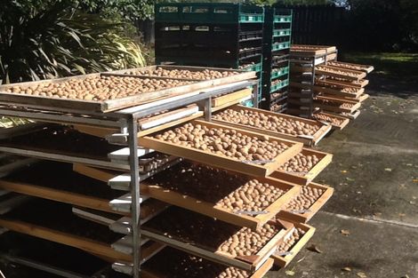 Photo of property in 556 Steffens Road, Starvation Hill, Oxford, 7495