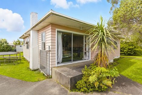 Photo of property in 15 Ross Street, Levin, 5510